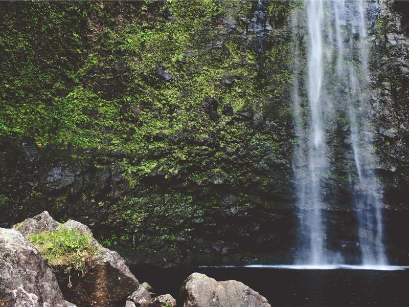 feedback screenshot 4